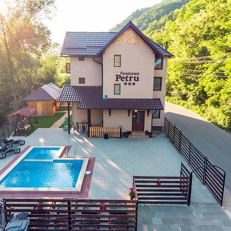 Pensiunea Petru Şugag Exterior foto