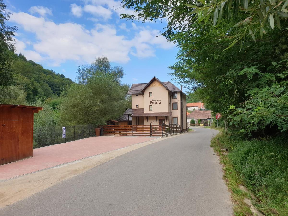 Pensiunea Petru Şugag Exterior foto