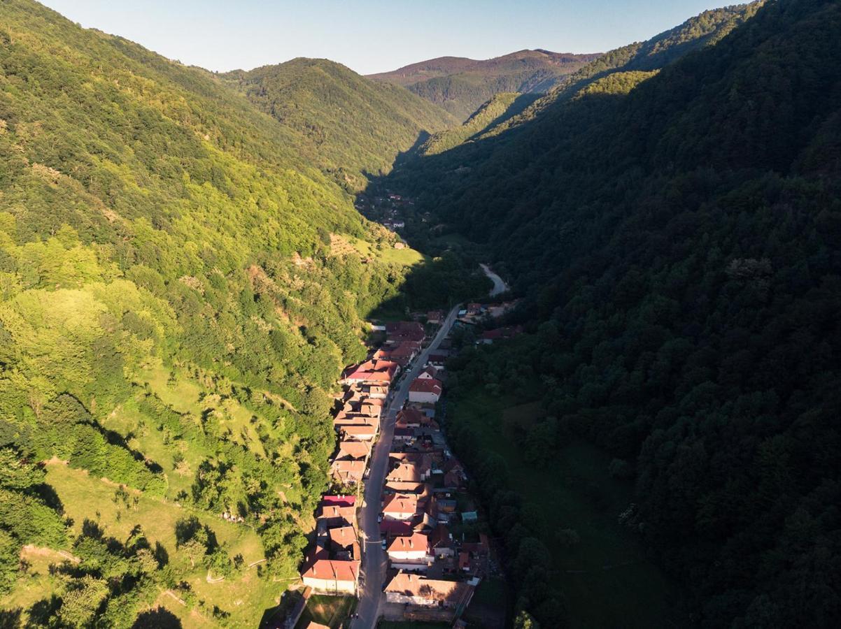 Pensiunea Petru Şugag Exterior foto