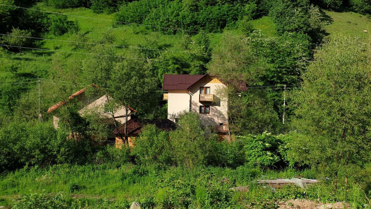 Pensiunea Petru Şugag Exterior foto